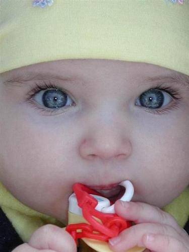 bebe