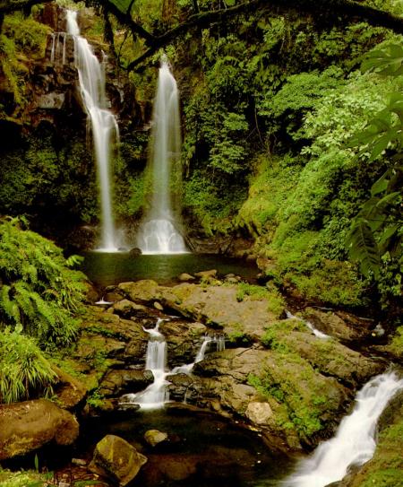 nature